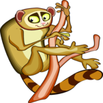 Lemur 1 Clip Art