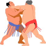 Wrestling - Sumo 1