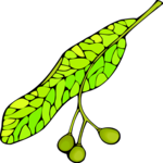 Leaf 105 Clip Art