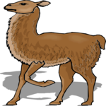 Llama 5 Clip Art