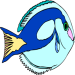 Blue Tang Clip Art