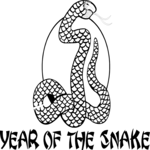Year of the Snake