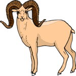 Sheep - Bighorn 4 Clip Art