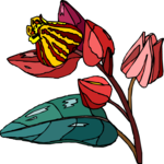 Flower 236 Clip Art