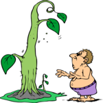 Man & Bean Stalk Clip Art