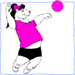 Volleyball - Bear