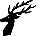 Stag - Head 4