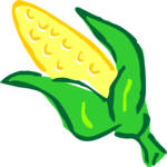 Corn 13