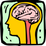 Brain 3 Clip Art