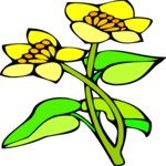 Buttercup 1 Clip Art