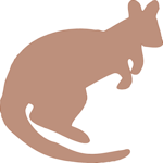 Kangaroo 8 Clip Art