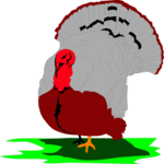 Turkey 05 Clip Art