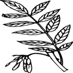 Leaves 23 Clip Art