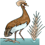 Crowned Crane 4 Clip Art