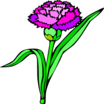 Carnation 7 Clip Art