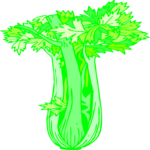 Celery 08 Clip Art