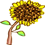 Sunflower Clip Art