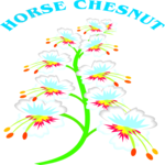 Horse Chesnut