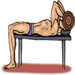 Weight Lifting 56 Clip Art