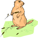 Beaver 08 Clip Art