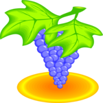 Grapes 39