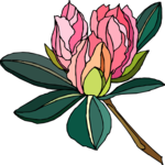 Flower 289 Clip Art