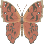 Butterfly 113 Clip Art
