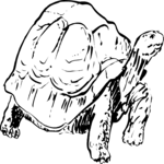 Tortoise 1 Clip Art