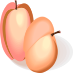 Apricots 3 Clip Art