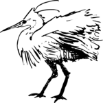 Bird 16 Clip Art