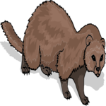 Ferret 5 Clip Art