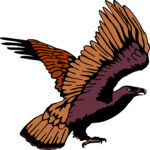 Eagle 49 Clip Art