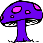 Mushroom 1