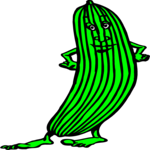 Pickle Guy