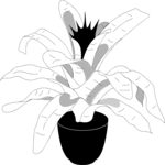 Plant 045 Clip Art