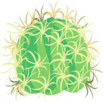 Cactus - Barrel 3 Clip Art