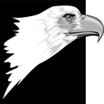 Eagle 04 Clip Art