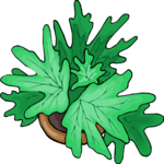 Plant 212 Clip Art