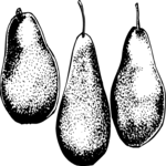 Pears 01