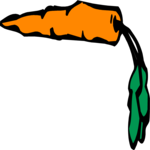 Carrot 08