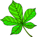 Leaf 104