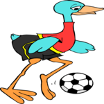 Soccer - Bird