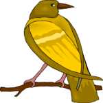 Bird Perched 66 Clip Art