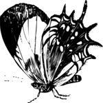 Antique Style Butterfly 2