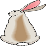 Rabbit 29 Clip Art
