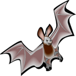 Bat 11
