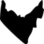 United Arab Emirates 2