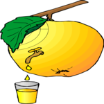 Juice - Orange 12 Clip Art