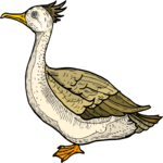 Bird 153 Clip Art