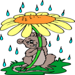 Mouse in Rain Clip Art